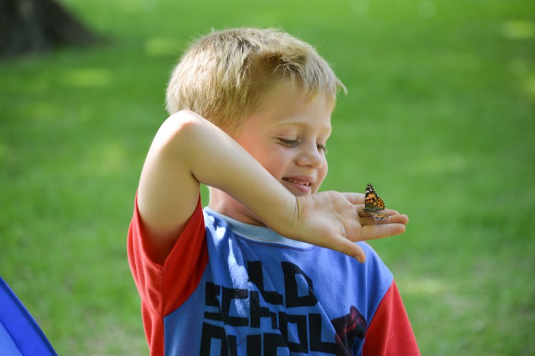 Teacher Talk: Kindergarten Launches 30 Painted Lady Butterflies