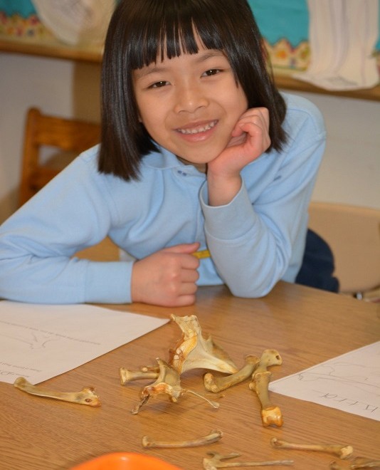 Makerspace: Kindergarten Students Use Digital Microscope to Examine Bones